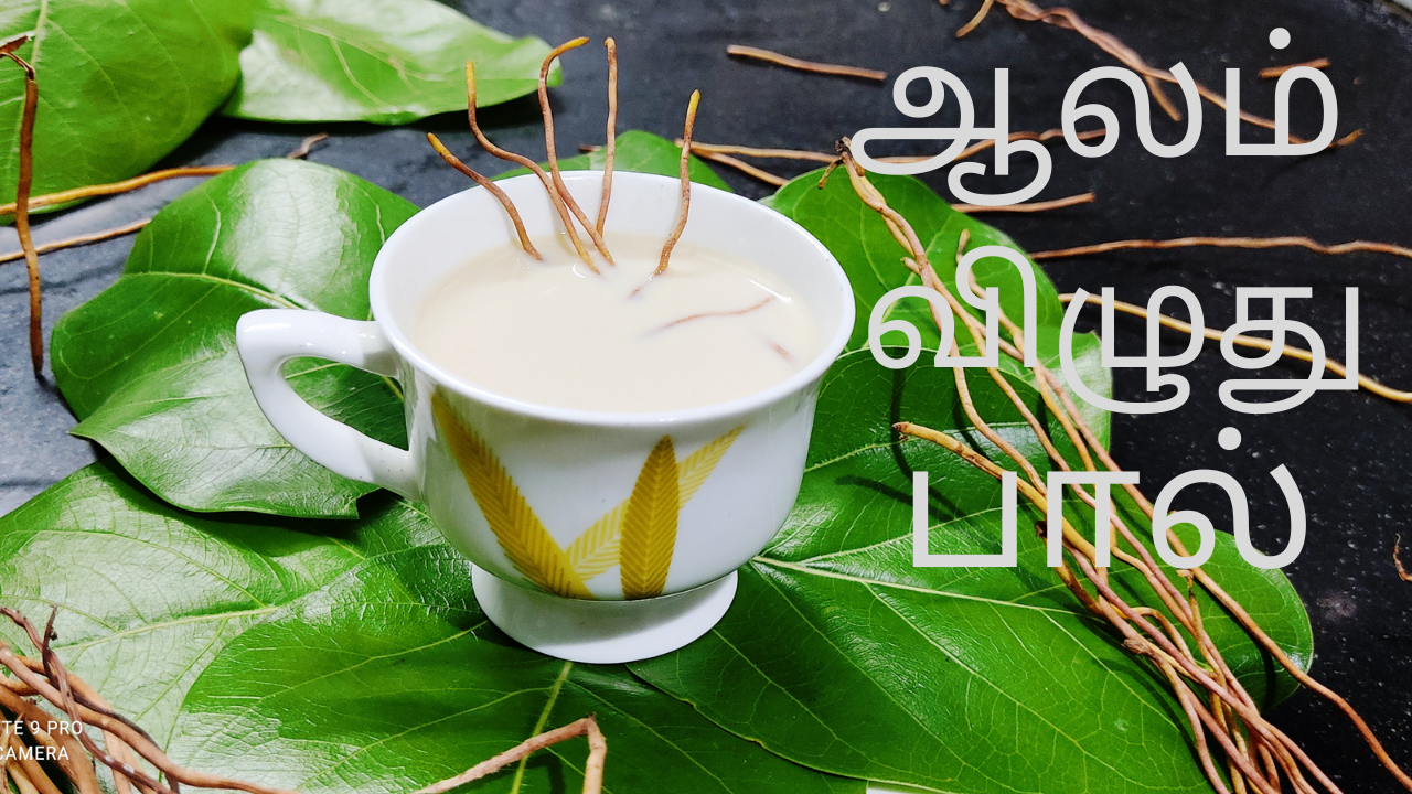 How to prepare Aalam Vizhudhu Milk Health Tips