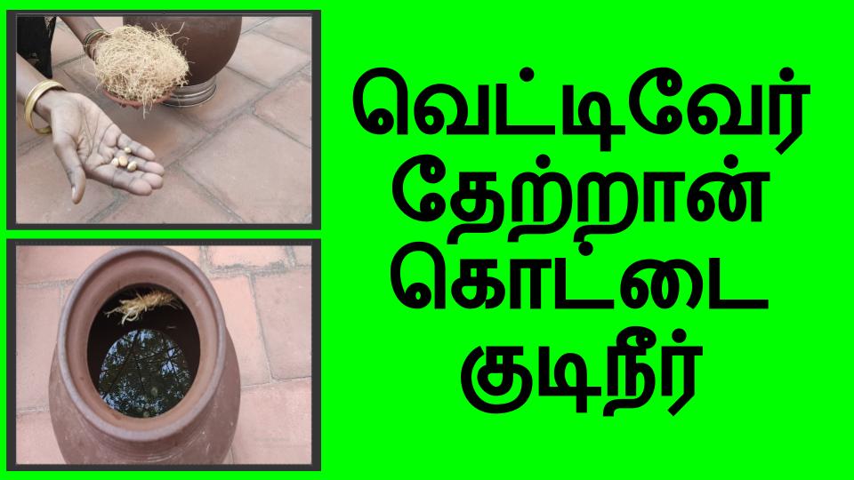 Vettiver Theatrankottai Kudineer Water Mooligai Health Tips